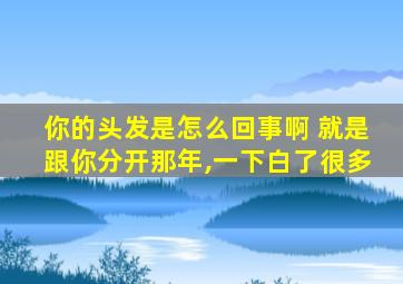 你的头发是怎么回事啊 就是跟你分开那年,一下白了很多